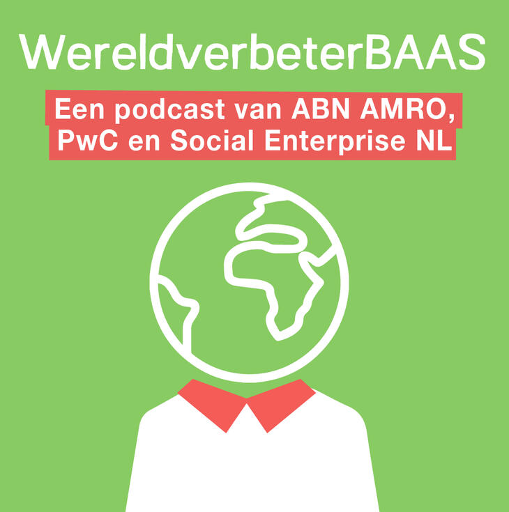 Wereldverbeterbaas artwork